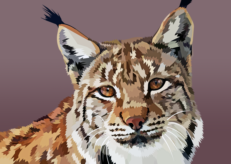 Lynx vector