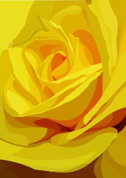 Yellow rose 2