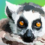 Staring Lemur