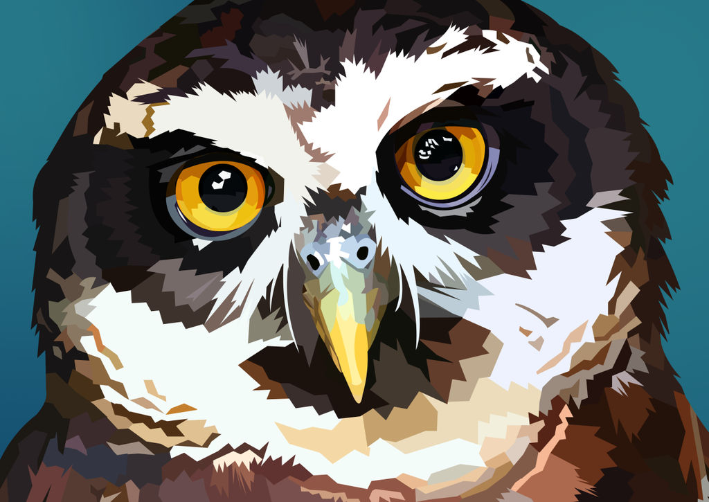 Owl Vector