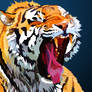 Tiger Yawning