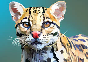 Ocelot