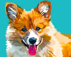 Corgi