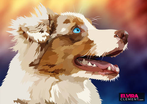 Your Best Friend - Australian shepherd