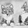 Traditional drawing - two kittens