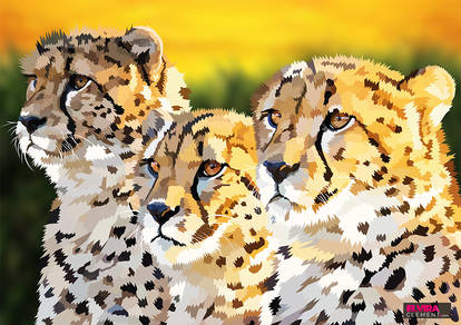 Cheetah PNG by MilenaHo on DeviantArt
