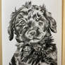 Little cutie - charcoal puppy drawing