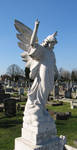 angelical by angelical