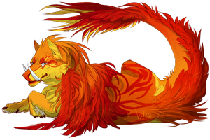 Warm colors by Velkss Warm colors by Velkss