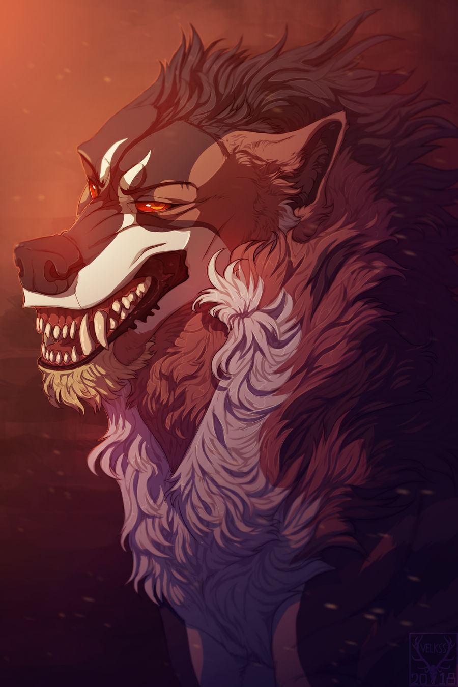 Donovan by Velkss