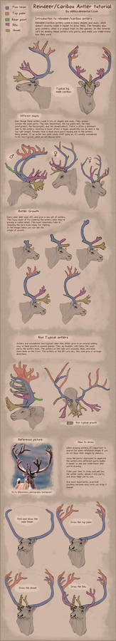 Reindeer/Caribou antlers [TUTORIAL]