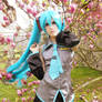 Hatsune in blossoms