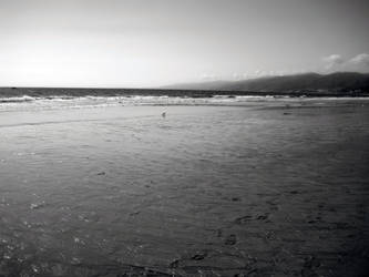 Santa Monica Beach BW