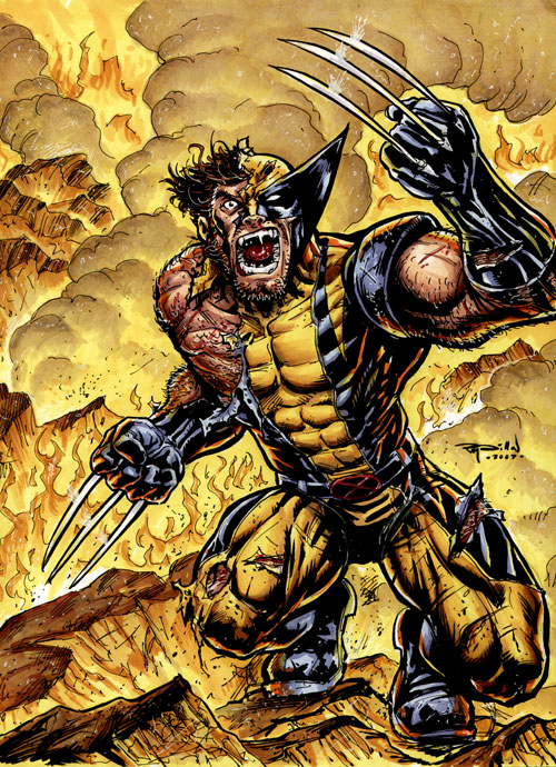 Wolverine On Fire