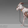 CLOSED - Goat adoptable