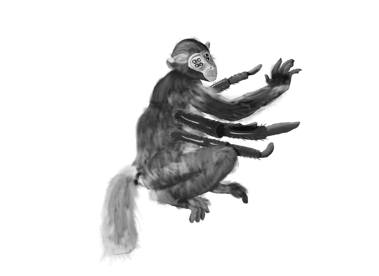 Spider Monkey Deviantart Spider-Monkey Concept by Robbiedoesdrawing on DeviantArt