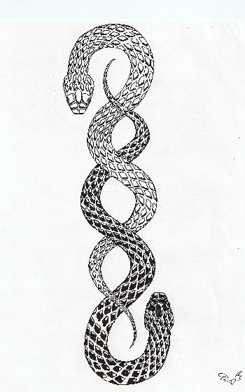 Snake Tattoo Ver. 1 by UsagiTenshi on DeviantArt