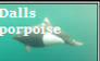 dalls porpoise