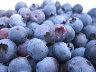 Blueberries