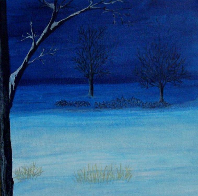 'Winter Moonlight'