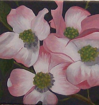 Dogwood flowers