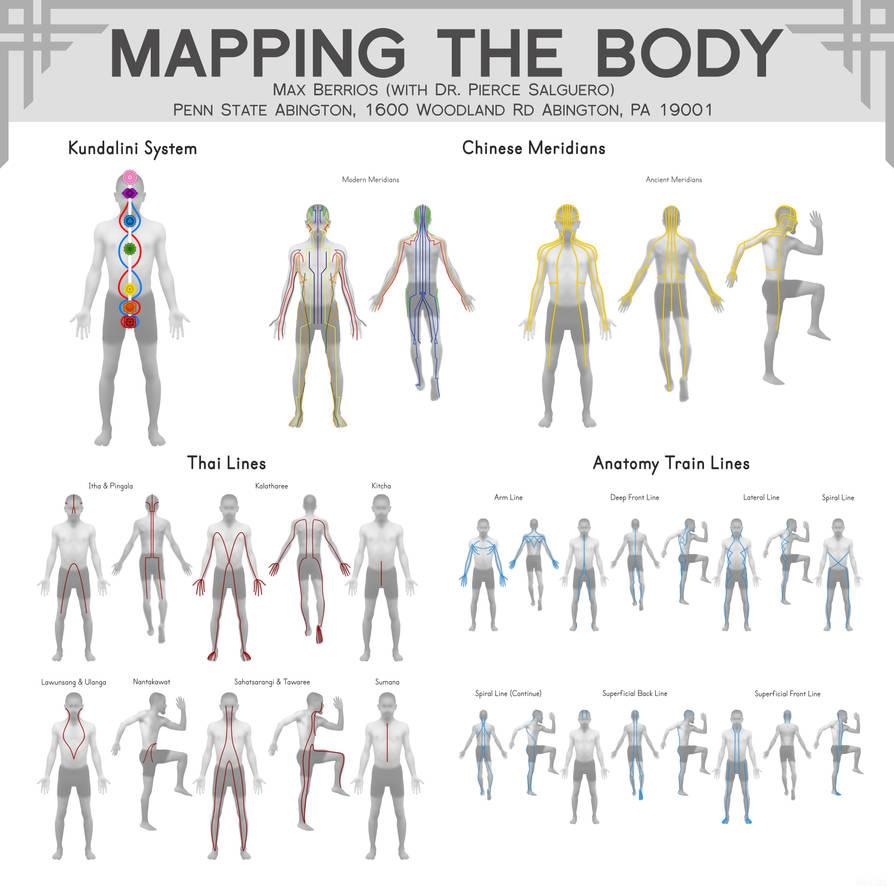Mapping The Body by maxberriostorres on DeviantArt