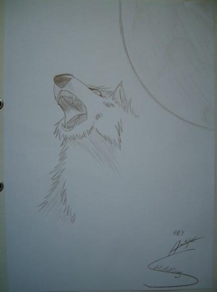 Wolfs Rain