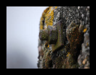 rusty screw