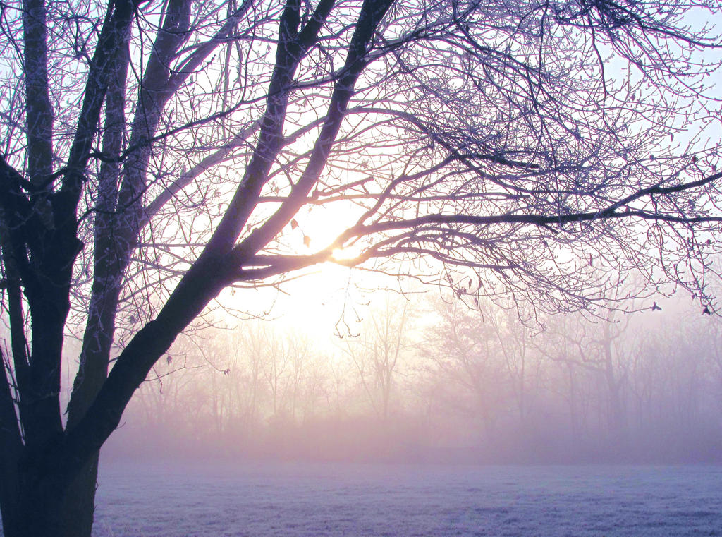 Cold Sun by Emily-Byrd on DeviantArt