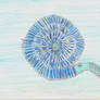 Dream Ammonite
