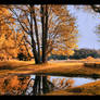 Fall