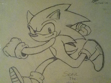 Sonic the hedgehog