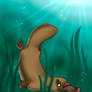 Playful platypus