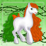 MLP - Ireland