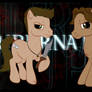 My Supernatural Ponies