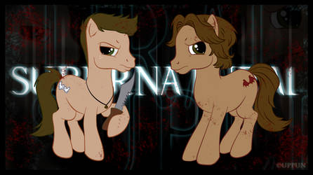 My Supernatural Ponies