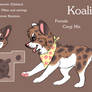 Koali Reference 2013