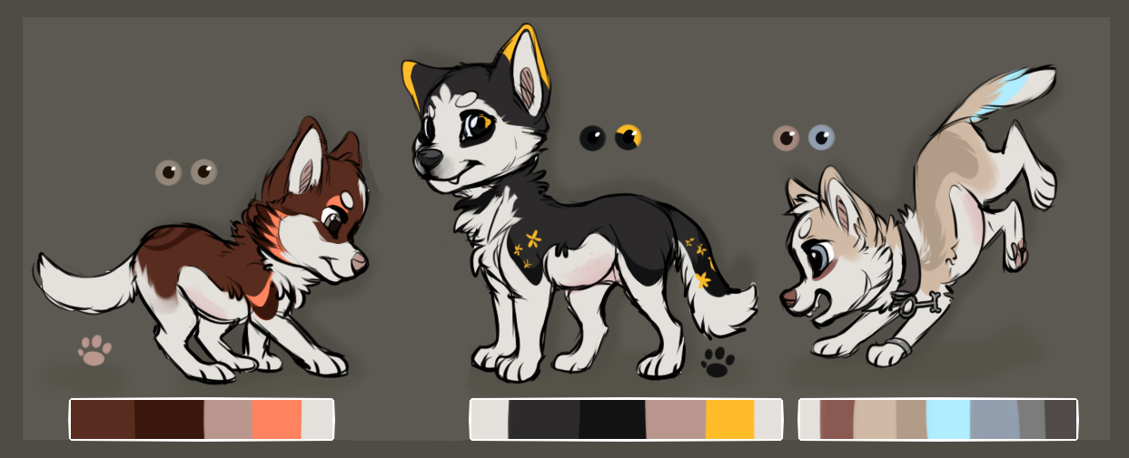 Huskies for sale (sold)