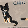.Chila. Adoptable - closed