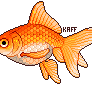 F2U Fancy Goldfish