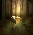 The last unicorn by maariusz