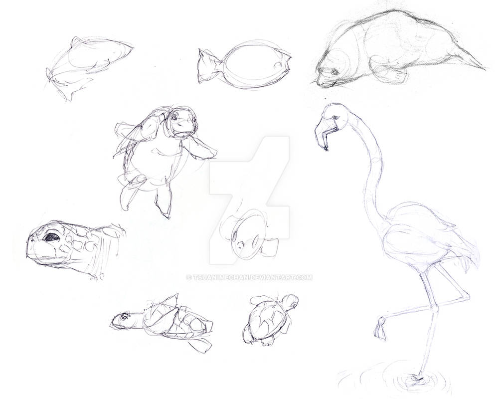 Aquatic Animals - Sketching Day! by tsuanimechan on DeviantArt