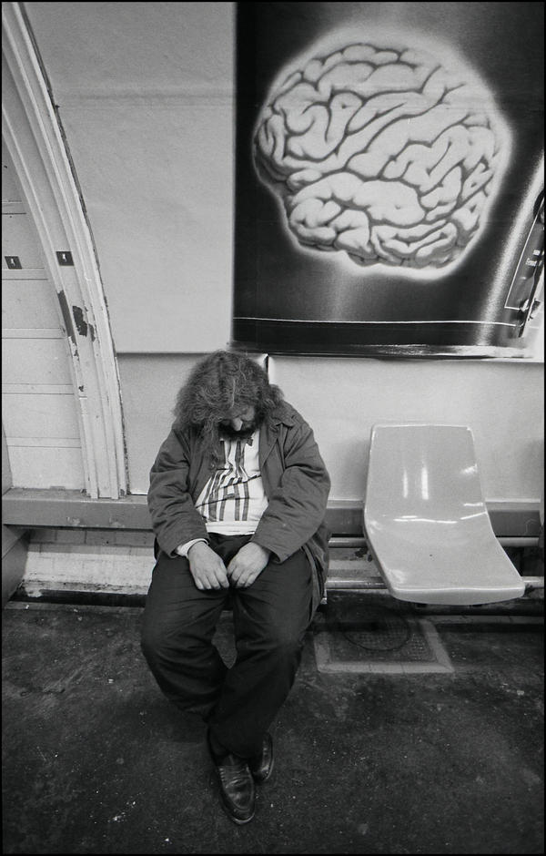 The brain by SUDOR