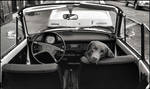 Seventies - 375 by SUDOR