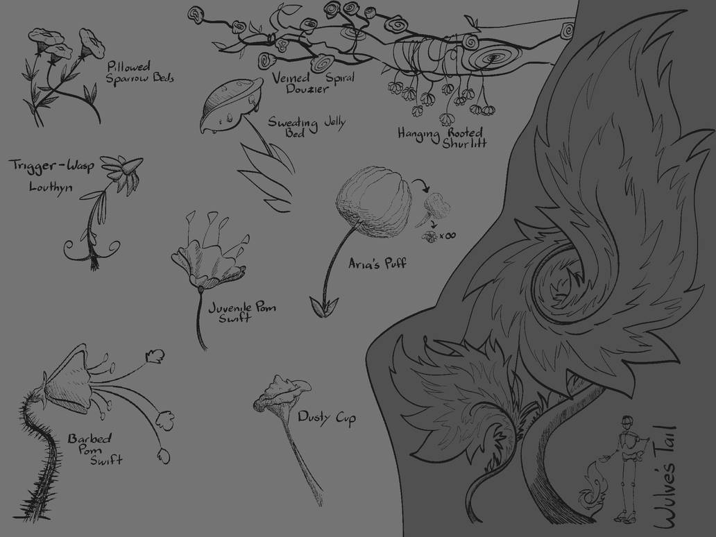 Plant Deviantart Dani's Fantasy Plant Sketches by WulfSystem on DeviantArt