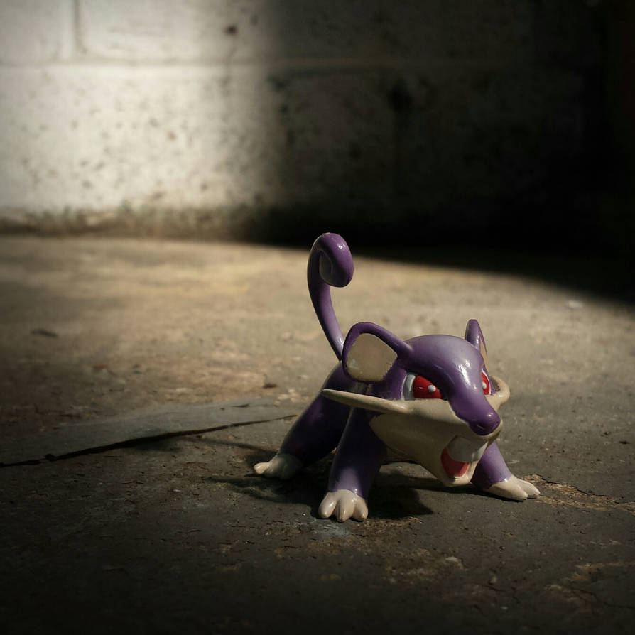 Angry Rattata Rattata by Dinobot711 on DeviantArt