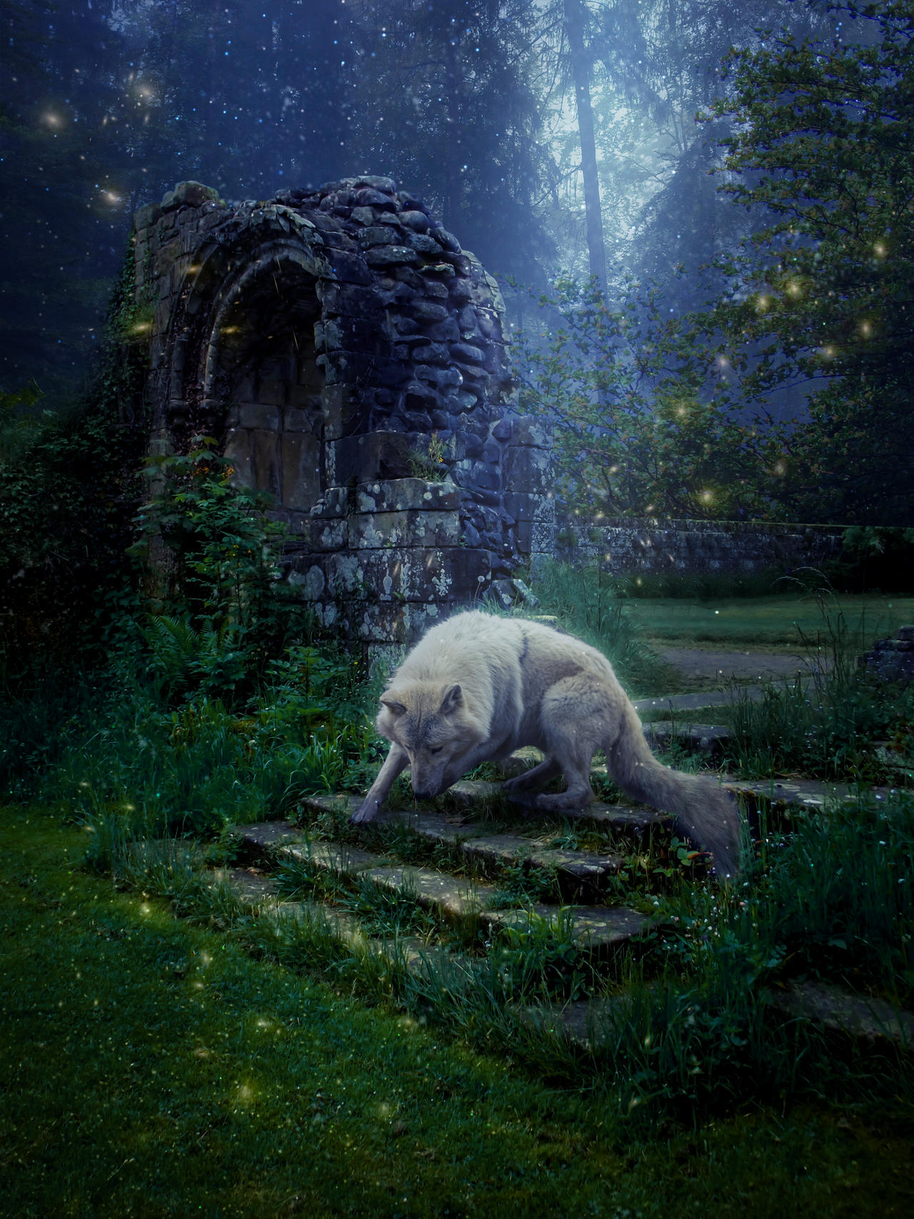 Lone Wolf