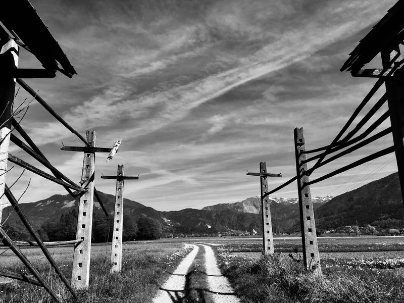 Hayracks by EvaPolly Hayracks by EvaPolly