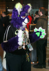 Riot in the fursuit parade by rats eye view