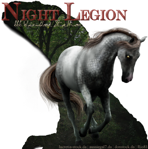 Night Legion